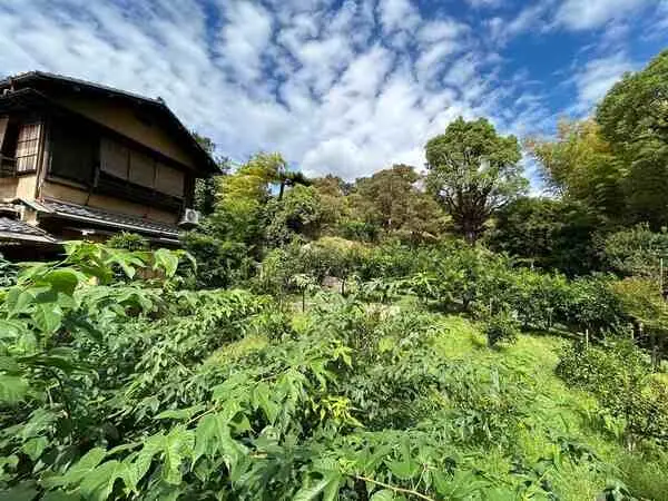 東京都世田谷区野毛１丁目 土地