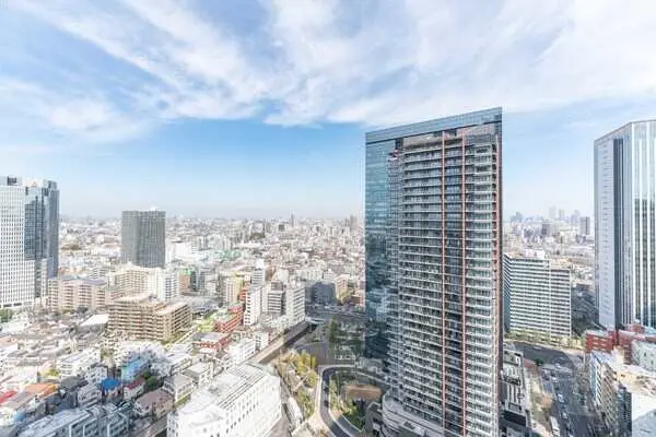 ザ・パークハウス西新宿タワー60