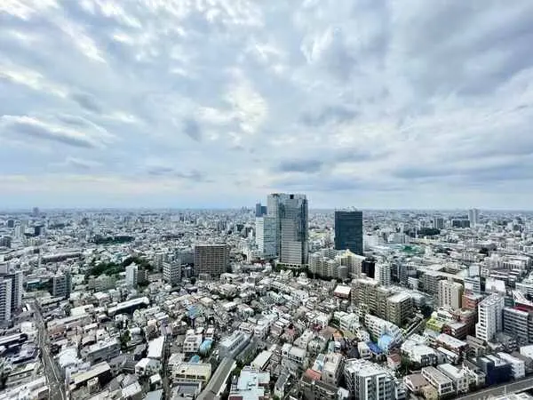 ザ・パークハウス西新宿タワー60