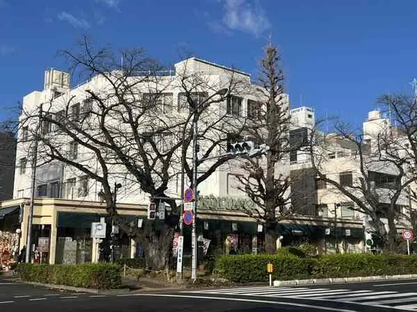 東京都国立市東３丁目 土地