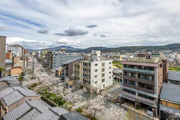 高瀬川沿いに咲く春の桜や秋の紅葉など、四季折々の景色をお楽しみいただけます(天候による)。