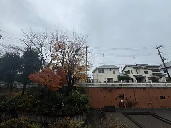 リエス東百合丘