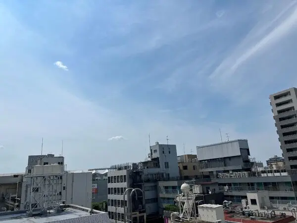 ダイアパレス本川越