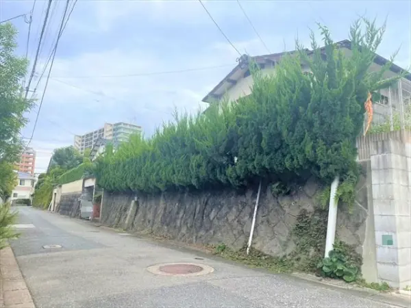 福岡市東区和白丘４丁目土地