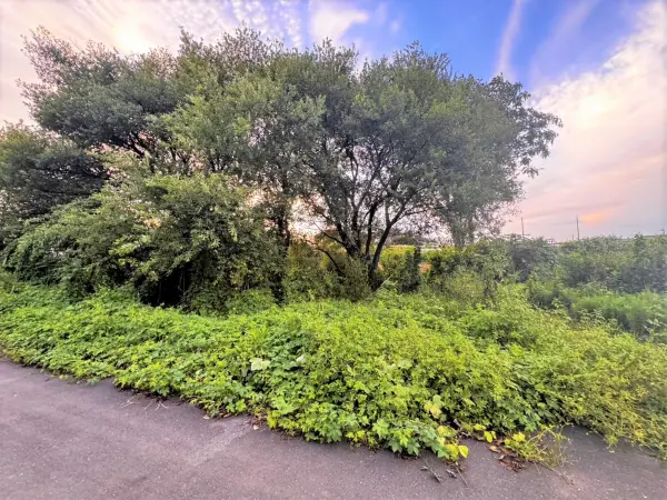 上尾市大字畔吉土地