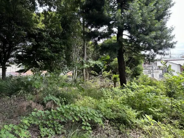 世田谷区岡本１丁目　土地