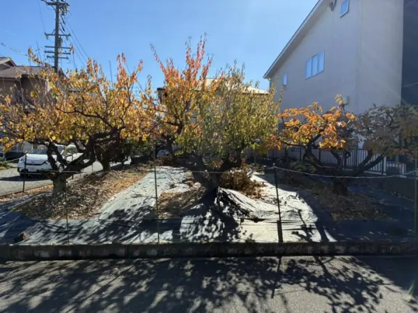 春日井市大手町２丁目土地