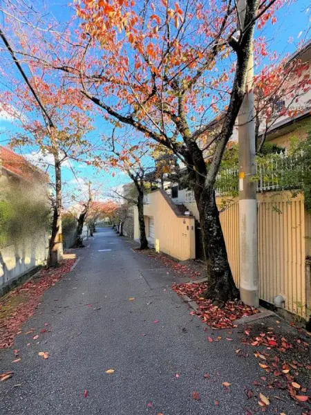 宝塚市寿楽荘土地