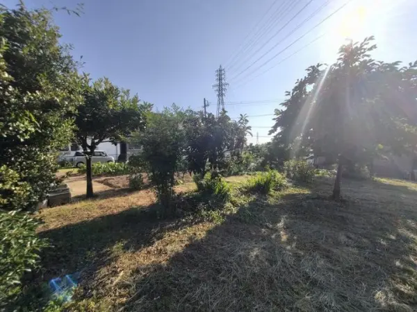 みよし市打越町畦違土地