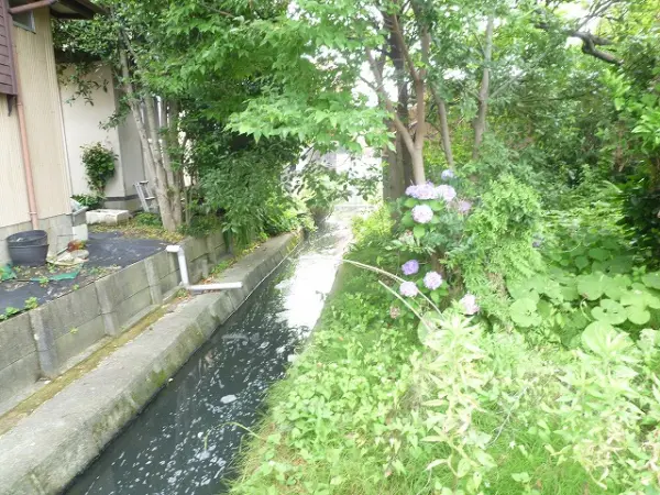 あま市七宝町安松１３丁目土地
