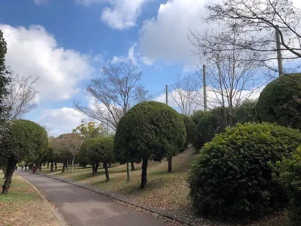 堺市南区槇塚台３丁土地　１号地