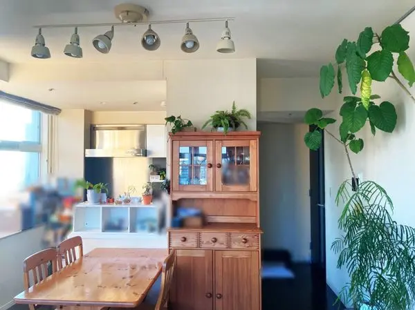 TOKYO　SEA　SOUTH　ブランファーレ