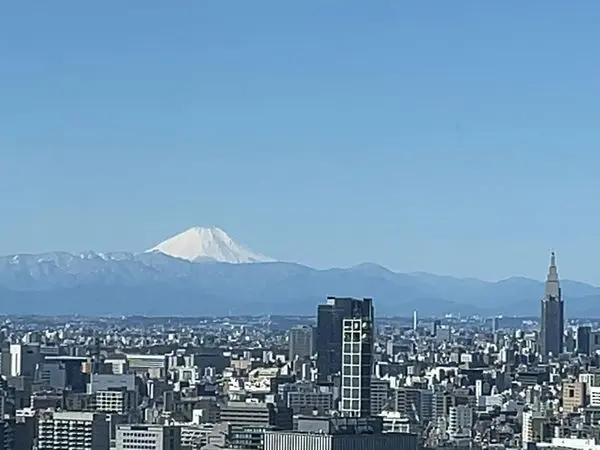 ワテラスタワーレジデンス