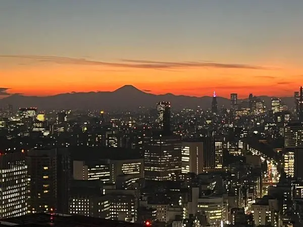 ワテラスタワーレジデンス