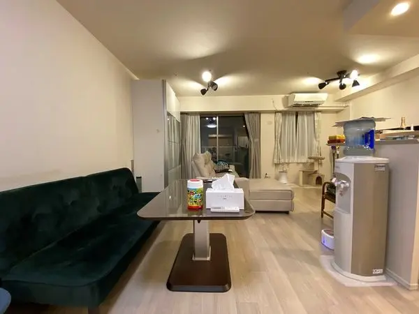 ザ・パークハウス中之島タワー