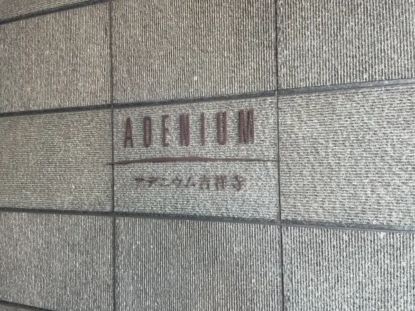 アデニウム吉祥寺