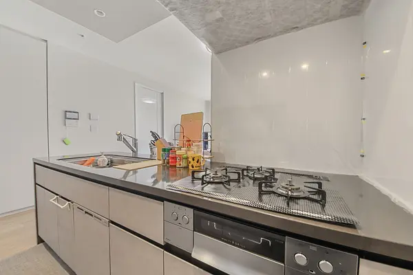 ＨＡＲＵＭＩ　ＦＬＡＧ　ＰＡＲＫ　ＶＩＬＬＡＧＥ