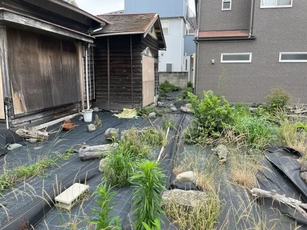 その他外観