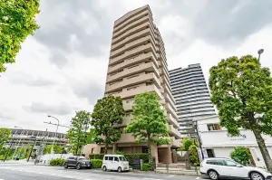 総戸数51戸