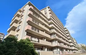 外観（南側より撮影）