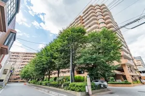 ライオンズプラザ大宮