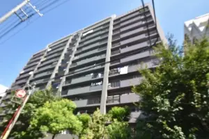 ライオンズプラザ錦糸町