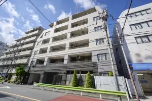 エルラフィナ白金