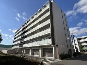 ベルドゥムール草加金明通り