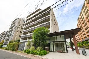 ネクサスシーズン戸塚