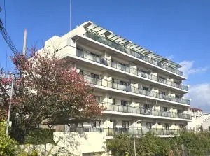 プレアデス神垣