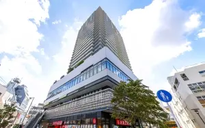 ライオンズタワー柏