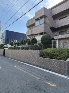 ルピナス湘南海岸
