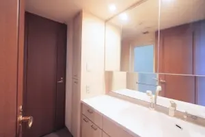 レクセルマンション高根公団