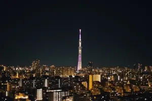 ライオンズタワー大島