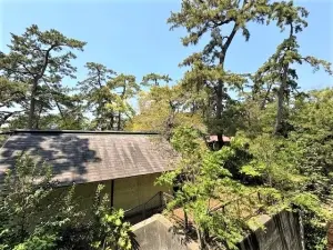 イトーピア夙川結善町