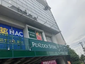 サンクレイドル練馬高野台