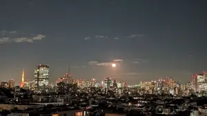 Ｔｈｅ目黒桜レジデンス
