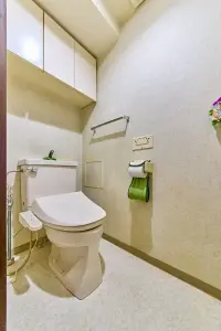 ナイスアーバン新川崎ステイツ