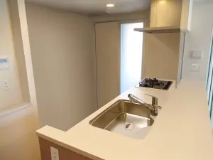 クリーンリバーフィネス菊水リヴェール