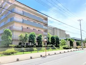 ルネ・アクシアム