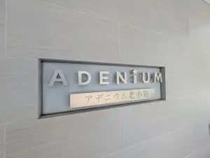 アデニウム北小岩