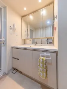 ライオンズ越谷センターシティ