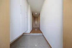 レーベンハイム亀戸アークプロット