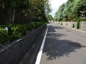 レーベンリヴァーレサレムヴィスタ