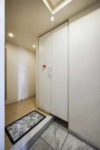 エルラフィナ白金