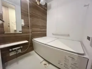 ベルドゥムール草加金明通り