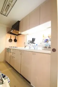 東急ドエル・アルス薬円台公園