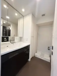 ザ・パークハウス川崎