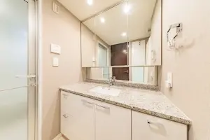 シティタワーズ豊洲　ザ・ツイン　サウスタワー