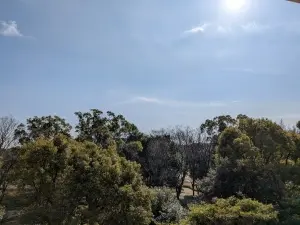 ニューパークハイツ